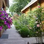 Les D'oriane