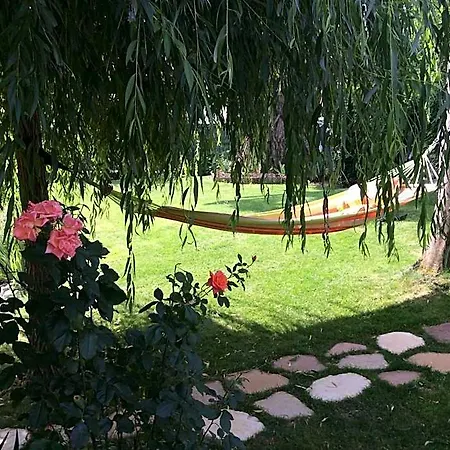 Les D'oriane Bed and Breakfast Chessy (Seine-et-Marne)