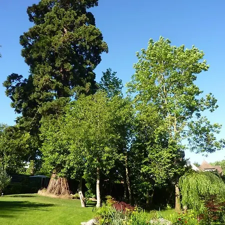 Les D'oriane Chessy (Seine-et-Marne)