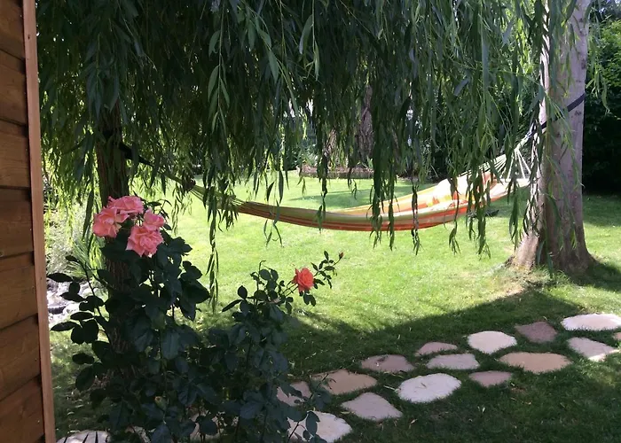 Les D'oriane Chessy (Seine-et-Marne)