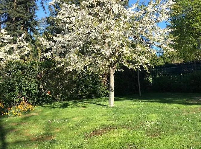 Bed & Breakfast Les D'oriane 3*