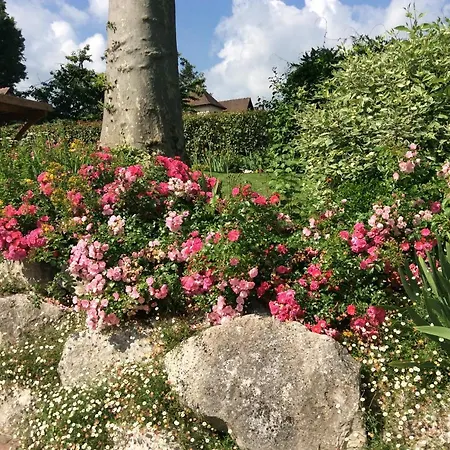 Bed and Breakfast Les D'oriane